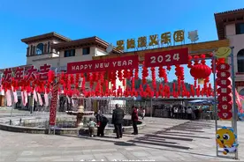 春节期间欢乐多 游乐园里人气旺图片