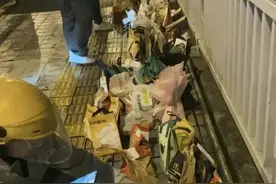 胖猫姐姐呼吁网友不要再叫外卖，多家品牌就胖猫事件道歉图片