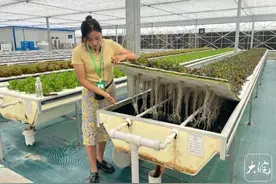 河湖之约 向“新”同行| 肥东桥头集“太空农场” 气雾栽培蔬菜瓜果图片