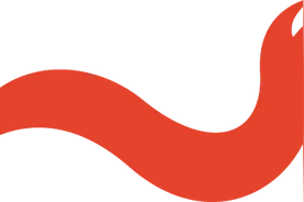 深情回望｜历次全国妇代会口述实录图片