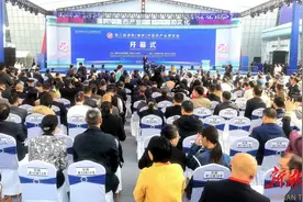 脉脉中药香飘邵东——第二届湖南（廉桥）中医药产业博览会侧记图片
