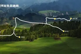 穿越绿海 去往心中的阿勒泰 自驾新疆推荐这十条精品线路→图片