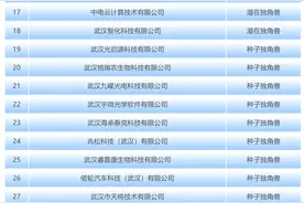 44家！2024年武汉独角兽企业认定出炉图片