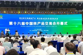 聚焦绿色低碳林产业，第十八届中国林产品交易会开幕图片