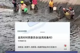网红博主在湘潭承包鱼塘后被村民抢鱼？当地村民：博主主动要村民去抓鱼图片
