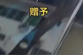 小伙将车停在木棉树下结果悲剧了，网友：世界也提醒得尽力了图片