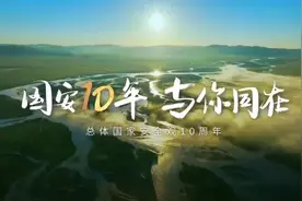 【4·15全民国家安全教育日】全民国家安全教育日主题海报来了！图片