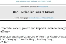 南华大学团队在结直肠癌研究领域取得重要突破图片