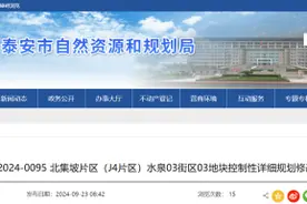 涉及北集坡水泉、河滨、嘉和社区！泰安发布最新规划图片