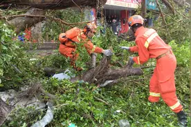 通路、通电、通网——广东湛江灾后救援抢修工作高效推进图片