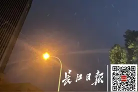 武汉今年第一场雪，来了图片