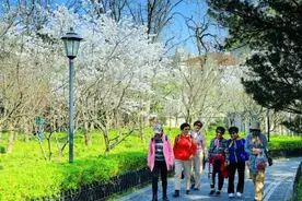 乘地铁寻春色！这些“花海”打卡点你都去过吗？图片
