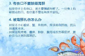 台风后海滩上的生蚝尽量别吃图片