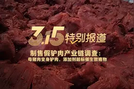 视频｜315特别报道·制售假驴肉产业链调查视频封面