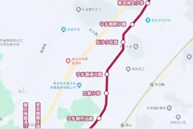青岛拟新开421路和952路公交，这些区域居民出行更方便图片