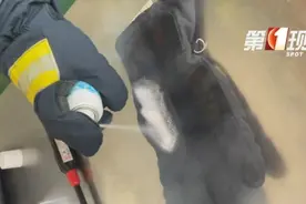“降温神器”一点就燃！夏季谨慎使用，小心“引火上身”图片