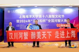 汉川河蟹勇闯上海 一举拿下4个奖项！图片
