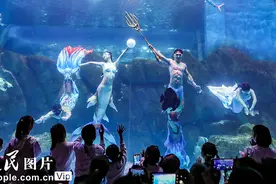 江苏淮安：海洋世界里度假期图片