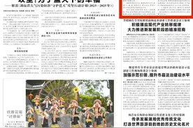 湖南日报丨小县改革，意义不小图片