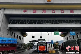 药食同源商品首次从中越边境河口口岸入境图片