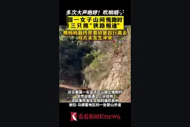 狭路相逢！美国一女子山间慢跑时遇到三只熊图片