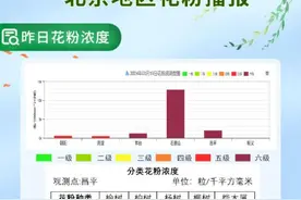 北京今明两天花粉浓度为极高水平！敏感人群做好防护图片