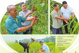 92名“兵支书”扎根乡村立新功图片