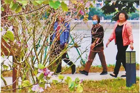 春光正好，相约吴川踏青赏花图片