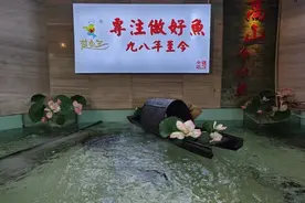 鲟鳇鱼——真没想到这好吃图片