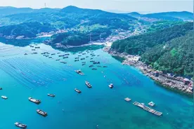 创示范区，建种质资源场，向深远海挺进——这首“海洋牧歌”带来几多启示图片