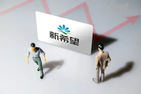 新希望拟通过二级市场增持民生银行，增持后持股将超5%图片