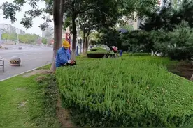 市生态运动公园绿化修剪技能比武落下帷幕图片