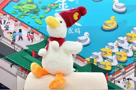 “爆炸头鸭”毛绒公仔、“黄册库的猫”冰箱贴，新年玄武湖景区向游客捧出“新礼物”图片