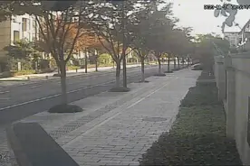 3岁儿子打翻牛奶，妈妈一慌车子撞上了树，情急之中，他出现了！图片