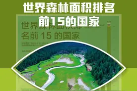 世界森林面积排名前15的国家图片