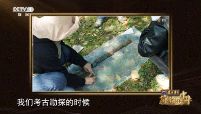 他们曾经来过，他们如此鲜活图片