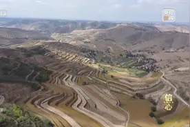 焦点访谈丨丰收色彩浓！农业跑出加速度 把中国饭碗牢牢端住图片