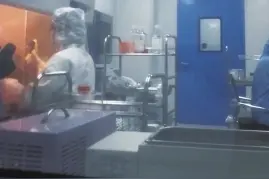 伪装成希望的陷阱图片