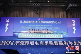 上半年东莞市完成跨境电商进出口额427.4亿元图片
