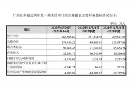 一揽子交易？长鸿高科向实控人定增12亿再现金收购亏损资产图片
