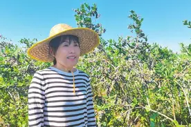 烟台市七星斋果蔬种植专业合作社总经理陈静——打造城乡美好生活“中转站”图片