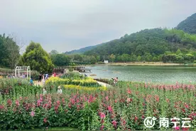 南宁青秀山风景区中秋节夜间实施限车入园图片