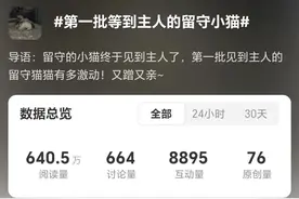 大学生喂猫“10天赚了1万多”图片