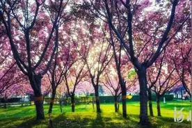 春观ꕥ！河北61条线路等你打卡……图片