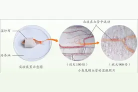 这还是数学书吗？新学期，来看看新教材新在哪儿？图片