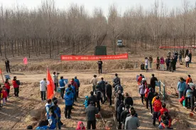绿动齐鲁|山东省2024年全民义务植树活动在济南举行图片