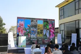 四川推出六条春游赏花精品线路图片
