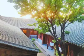 【文化·荟萃】古韵新风看秦州图片
