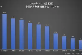 1-2月中国车市销量榜出炉，比亚迪上汽吉利分列前三图片