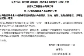 鲁西化工副总经理因病去世，曾在中国化工集团旗下公司任职图片